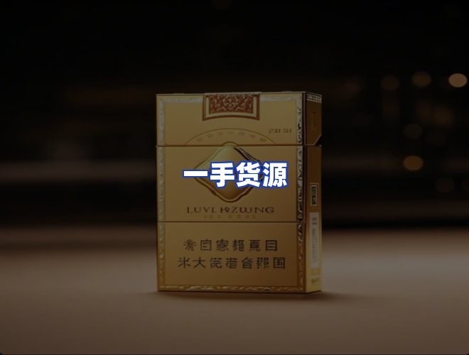 专业团队